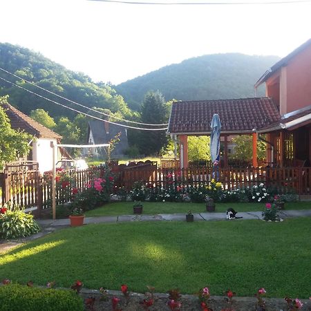Guesthouse Tadic Guča Exterior foto