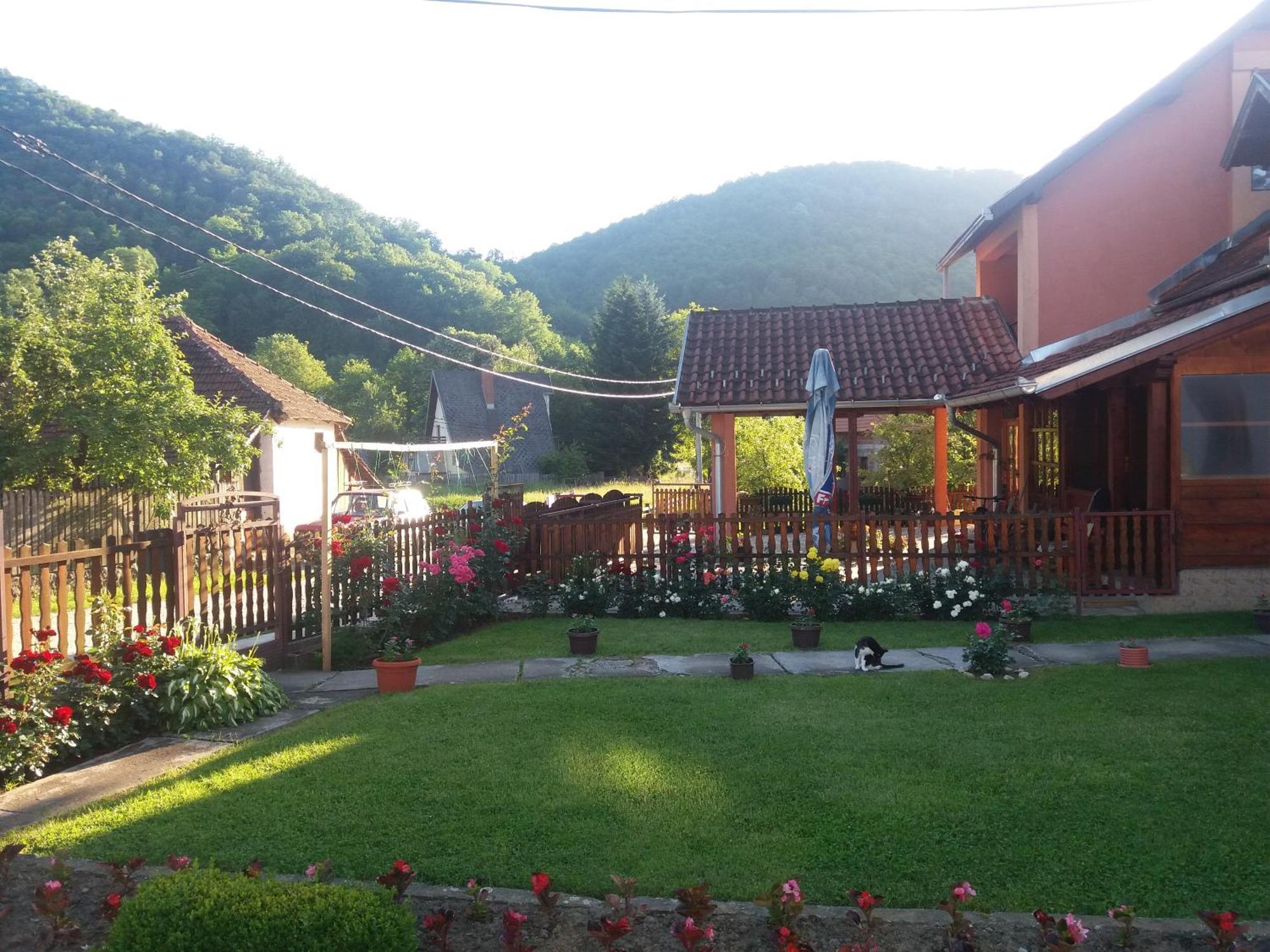 Guesthouse Tadic Guča Exterior foto